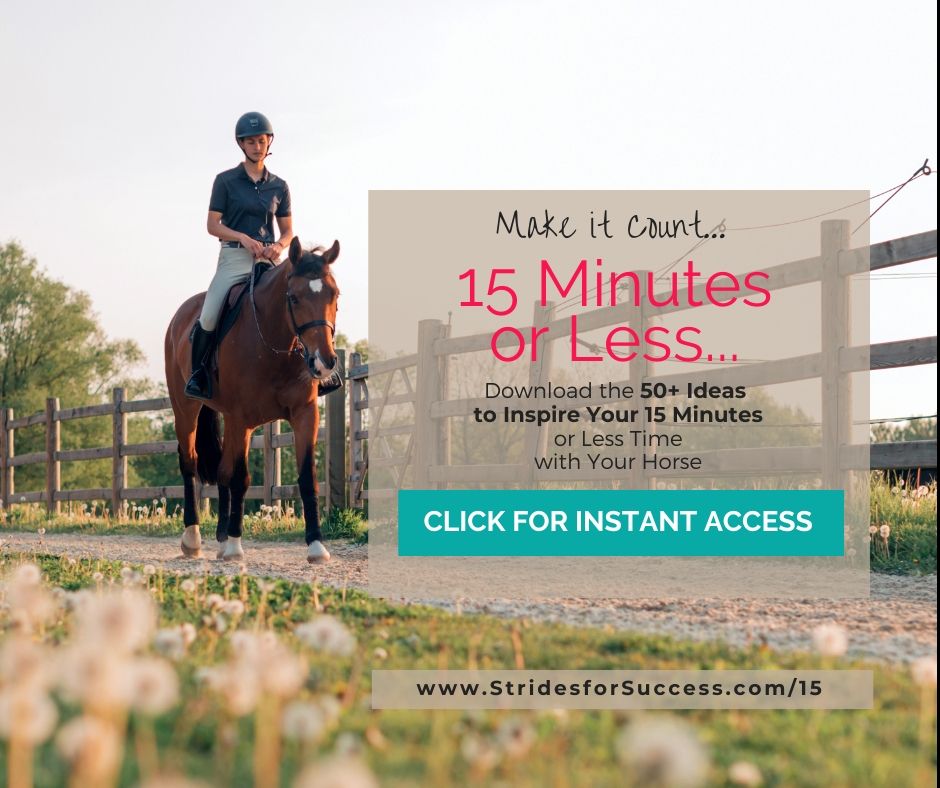 15 Mins or Less - 80+ Ideas Workbook