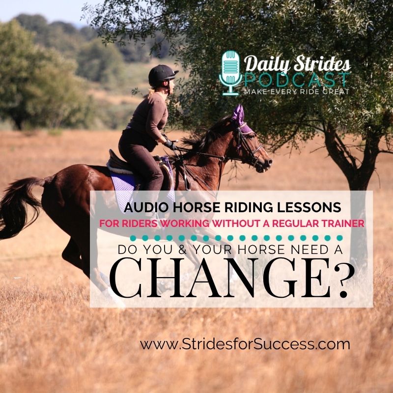 Do You and Your Horse need a Change?